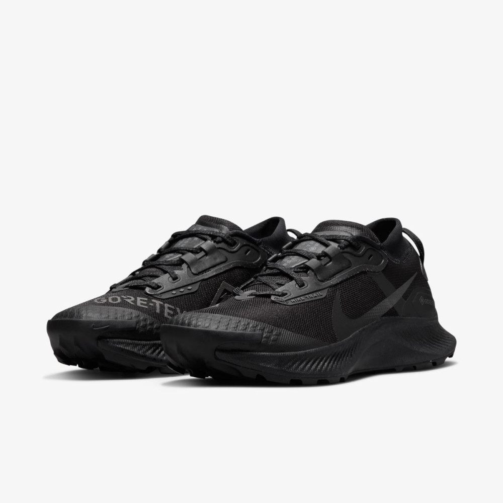 Кросівки Nike Pegasus Trail 3 Gore-Tex DC8794-001