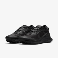 Кросівки Nike Pegasus Trail 3 Gore-Tex DC8794-001