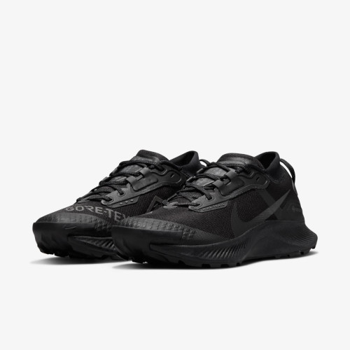 Кросівки Nike Pegasus Trail 3 Gore-Tex DC8794-001