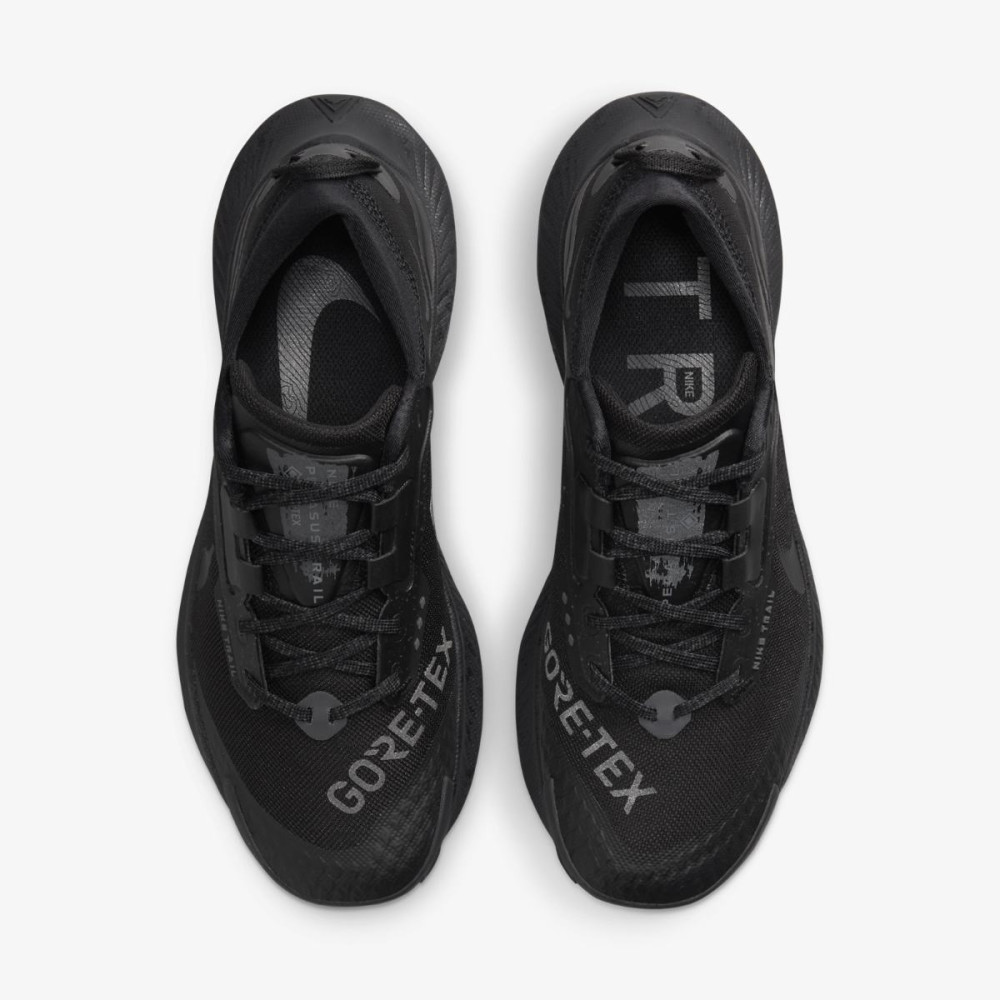 Кросівки Nike Pegasus Trail 3 Gore-Tex DC8794-001