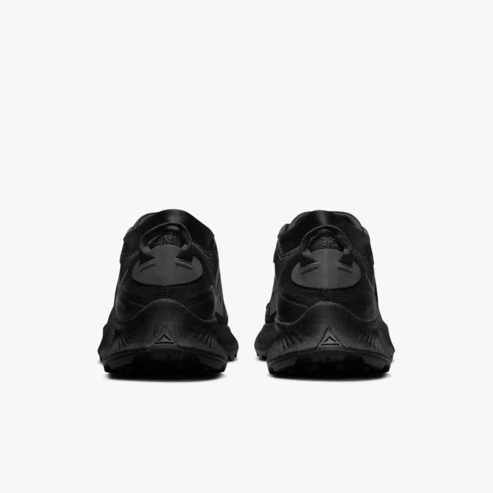 Кросівки Nike Pegasus Trail 3 Gore-Tex DC8794-001