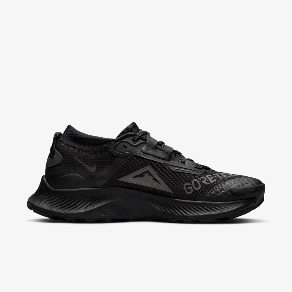 Кросівки Nike Pegasus Trail 3 Gore-Tex DC8794-001