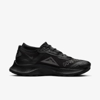 Кросівки Nike Pegasus Trail 3 Gore-Tex DC8794-001