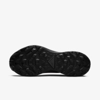 Кросівки Nike Pegasus Trail 3 Gore-Tex DC8794-001