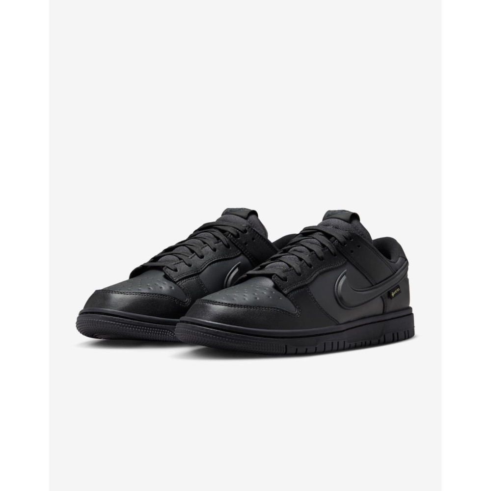 Кросівки Nike Dunk Low Gore-Tex HQ2053-001