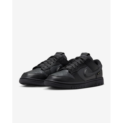 Кросівки Nike Dunk Low Gore-Tex HQ2053-001