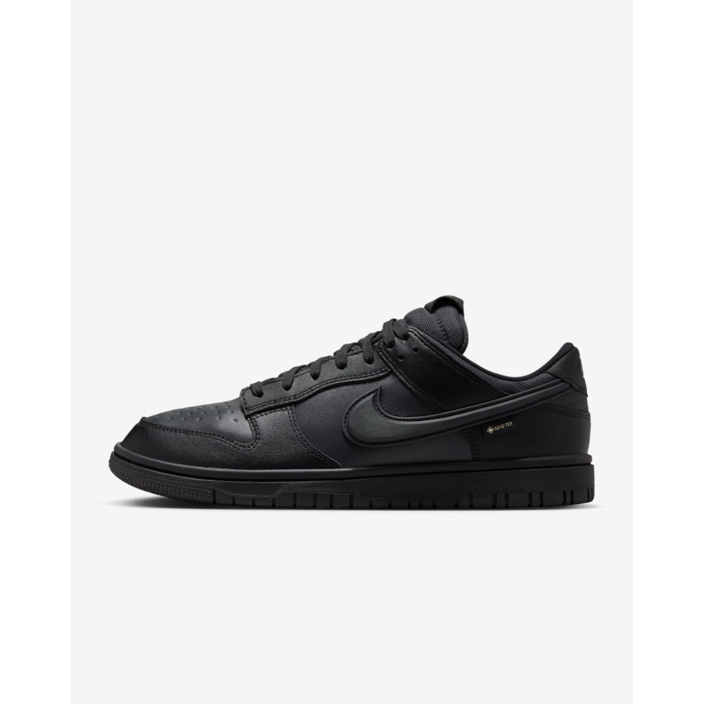 Кросівки Nike Dunk Low Gore-Tex HQ2053-001