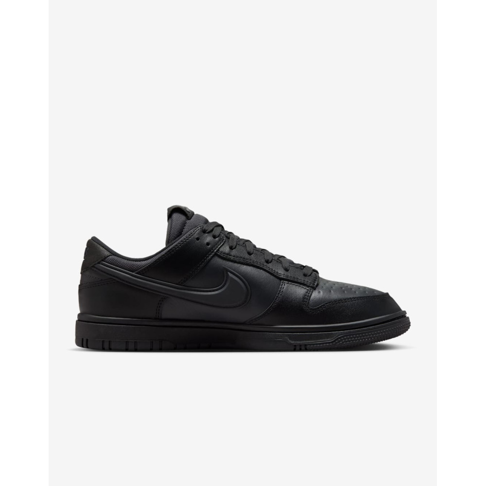 Кросівки Nike Dunk Low Gore-Tex HQ2053-001