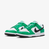 Кросівки Nike Dunk Low FN3612-300