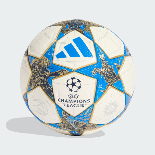 Мяч Adidas Champions League 25/26 OMB JD0188