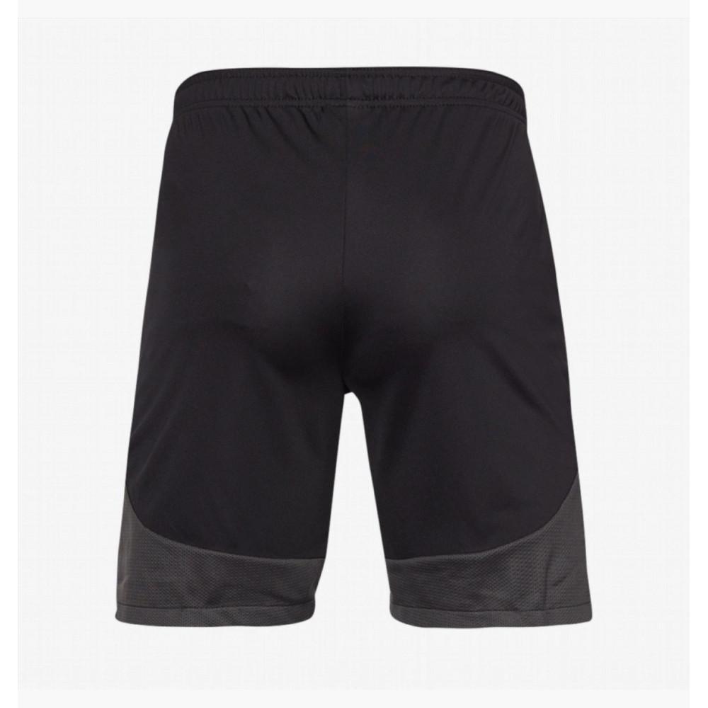 Шорти Nike Dri-Fit Academy Pro Short DH9236-014