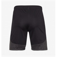 Шорты Nike Dri-Fit Academy Pro Short DH9236-014