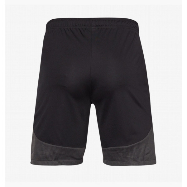 Шорты Nike Dri-Fit Academy Pro Short DH9236-014