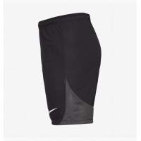 Шорты Nike Dri-Fit Academy Pro Short DH9236-014