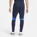 Спортивные штаны Nike Dri-FIT Academy Pro Pant DH9240-451