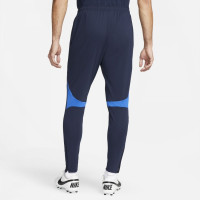 Спортивные штаны Nike Dri-FIT Academy Pro Pant DH9240-451
