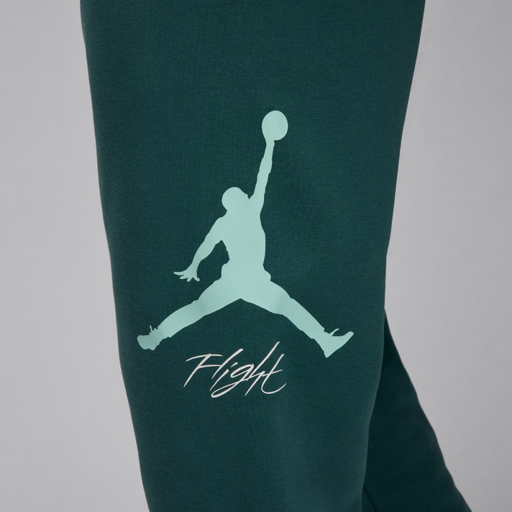 Штани Jordan Essential Baseline Fleece Pant FD7345-366