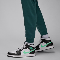 Штани Jordan Essential Baseline Fleece Pant FD7345-366