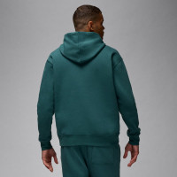 Кофта Jordan Essential Baseline Fleece Hoodie FD7545-366