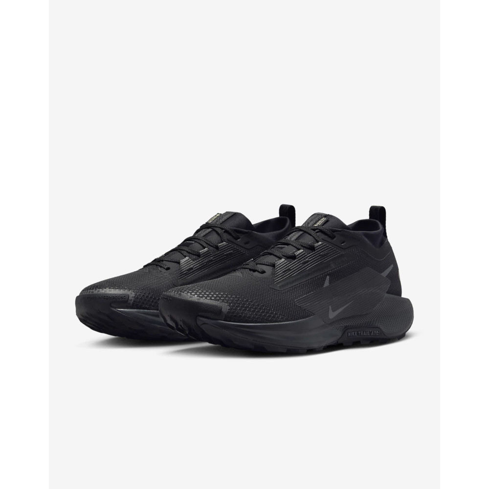 Кросівки Nike Pegasus Trail 5 Gore-Tex FQ0908-002