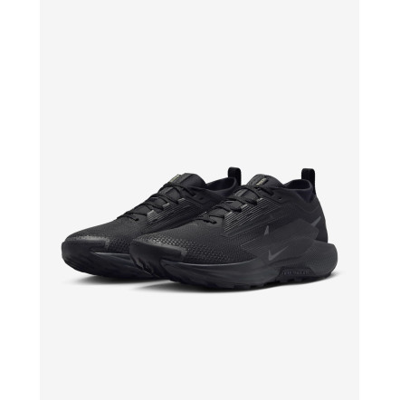 Кросівки Nike Pegasus Trail 5 Gore-Tex FQ0908-002