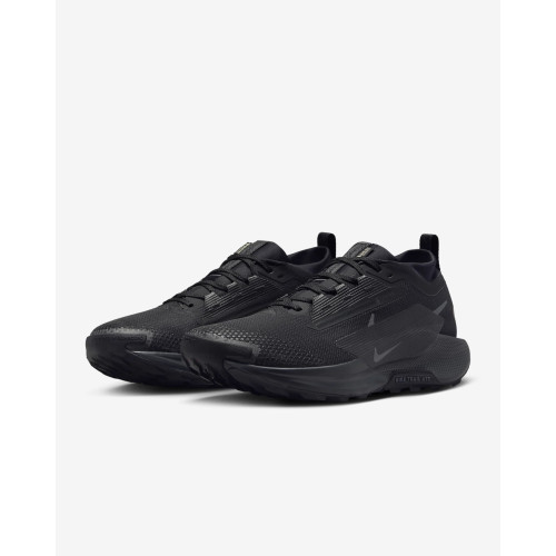 Кросівки Nike Pegasus Trail 5 Gore-Tex FQ0908-002