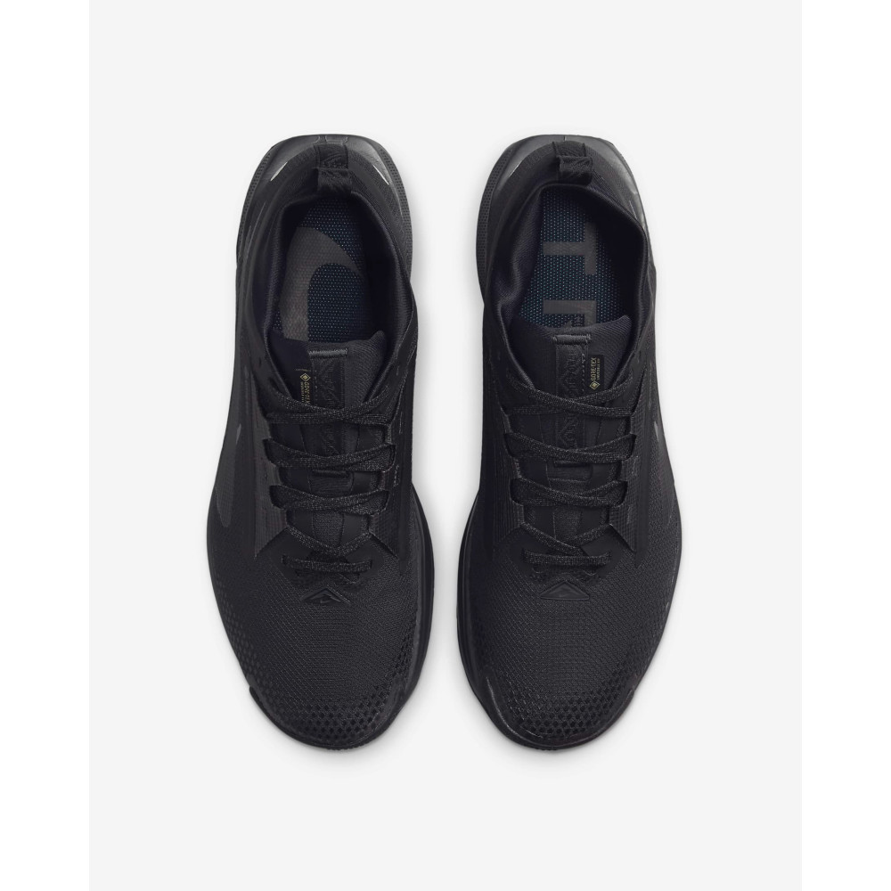 Кроссовки Nike Pegasus Trail 5 Gore-Tex FQ0908-002