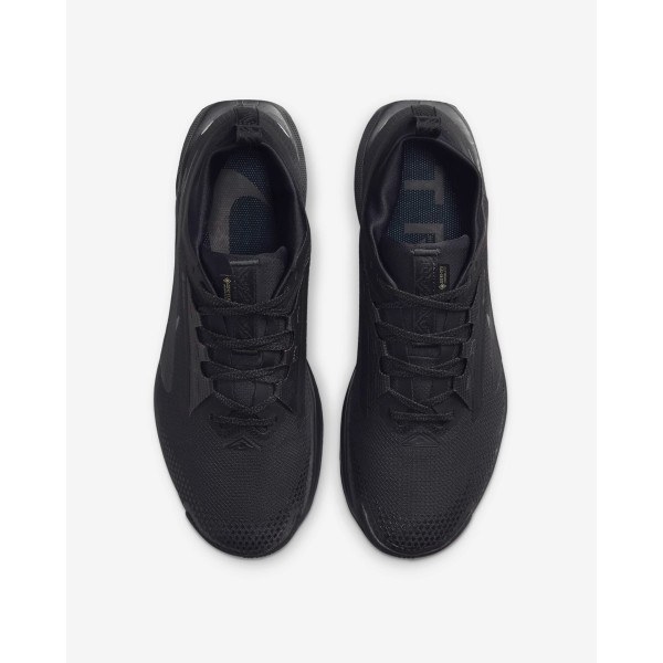 Кросівки Nike Pegasus Trail 5 Gore-Tex FQ0908-002