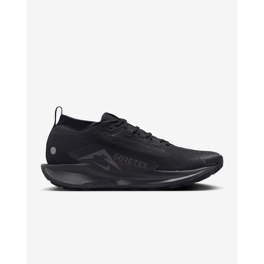 Кросівки Nike Pegasus Trail 5 Gore-Tex FQ0908-002
