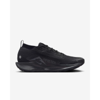 Кросівки Nike Pegasus Trail 5 Gore-Tex FQ0908-002
