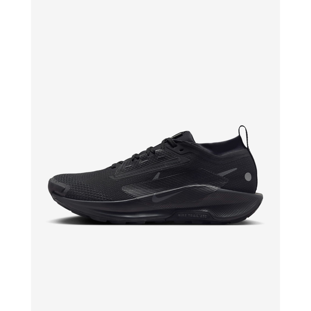 Кроссовки Nike Pegasus Trail 5 Gore-Tex FQ0908-002
