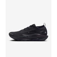 Кросівки Nike Pegasus Trail 5 Gore-Tex FQ0908-002