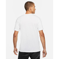 Футболка Nike Dri-FIT Graphic Tee DD6883-100