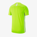 Футболка Nike Academy 19 Training Top AJ9088-702