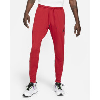 Штани Jordan Dri-FIT Air Pant CZ4790-687