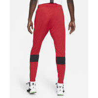 Штаны Nike Jordan Dri-FIT Air Pant CZ4790-687