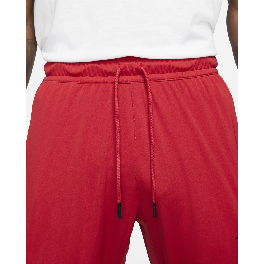 Штани Jordan Dri-FIT Air Pant CZ4790-687