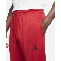 Штаны Nike Jordan Dri-FIT Air Pant CZ4790-687