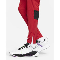 Штаны Nike Jordan Dri-FIT Air Pant CZ4790-687