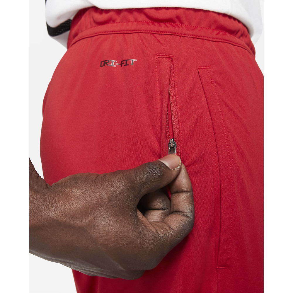 Штаны Nike Jordan Dri-FIT Air Pant CZ4790-687