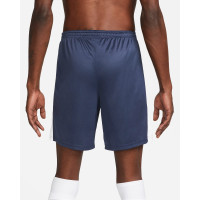 Шорти Nike Dri-Fit Academy23 Short DV9742-451