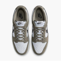 Кросівки Nike Dunk Low IB3079-300