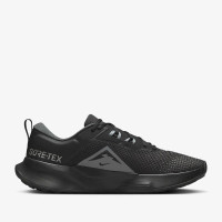 Кросівки Nike Juniper Trail 2 Gore-Tex V2 HM9734-001