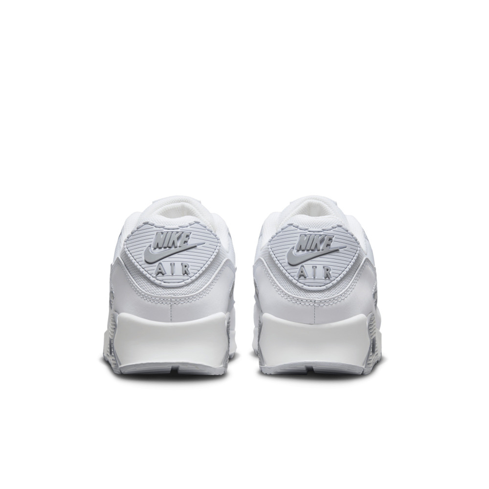 Кросівки Nike Air Max 90 FN8005-100