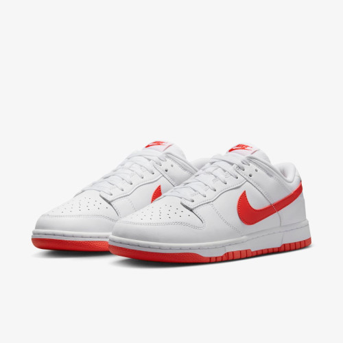 Кросівки Nike Dunk Low Retro DV0831-103