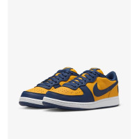 Кросівки Nike Terminator Low OG FJ4206-700