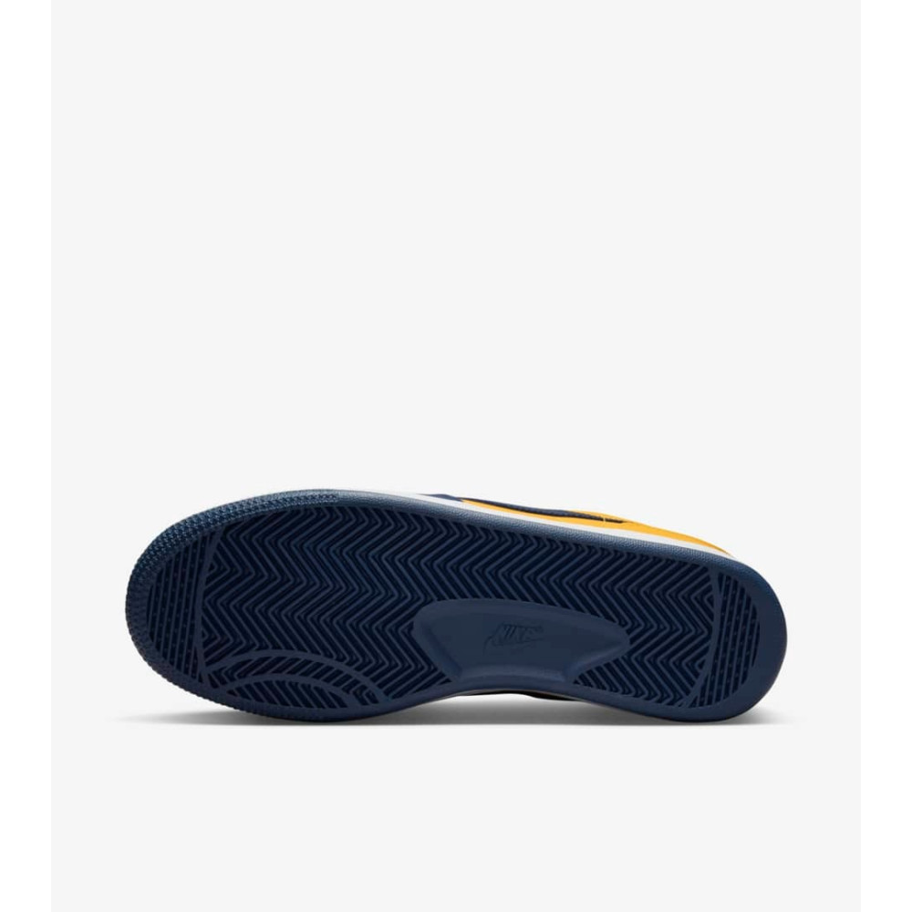 Кроссовки Nike Terminator Low OG FJ4206-700