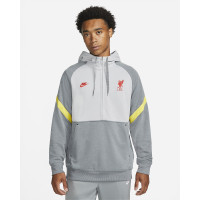 Толстовка Nike Liverpool FC Travel Fleece Hoodie DB7824-016
