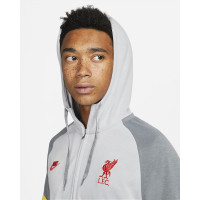 Кофта Nike Liverpool FC Travel Fleece Hoodie DB7824-016