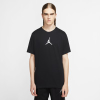 Футболка Jordan Jumpman SS Crew CW5190-010